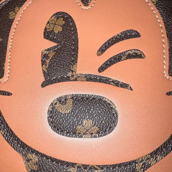 ✨$450✨  WATER PROOF  MICKEY MOUSE ZIPPER CROSSBODY BAG Disney land - Picture 5 of 14